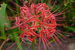 20110930 053_R