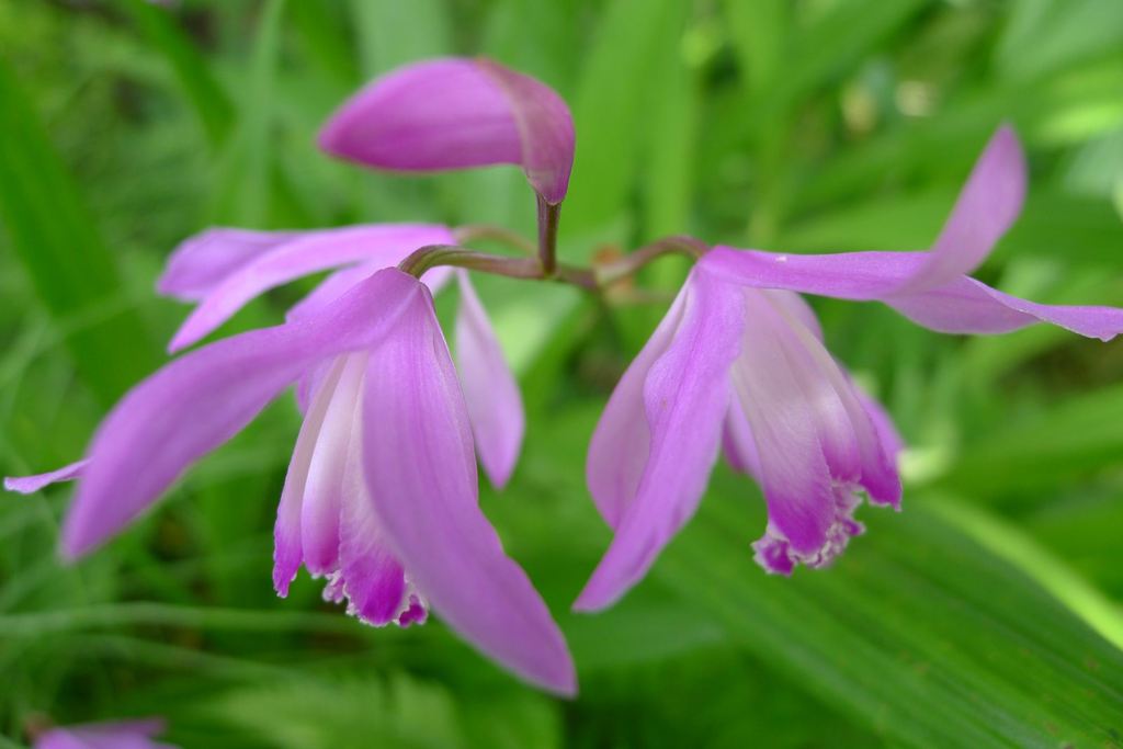 20110520 004_R