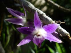 20110410 042_R