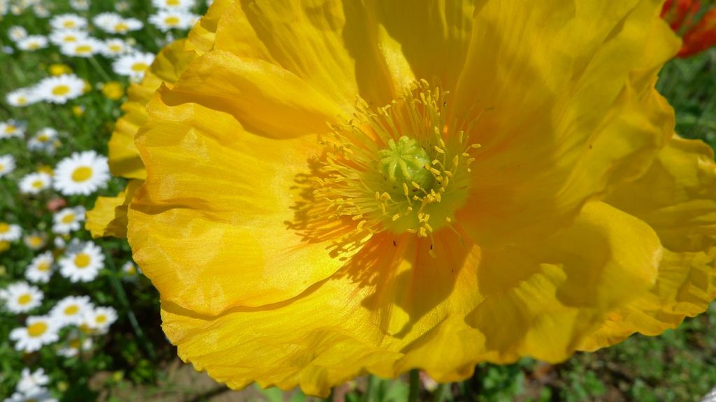 20110515 010_R