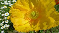 20110515 010_R