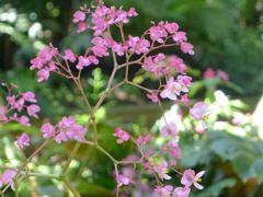 20110410 058_R
