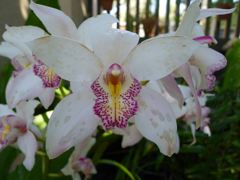 20110410 052_R