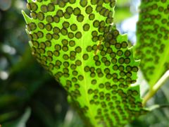 20110410 037_R