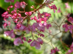 20110410 064_R