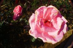 20111101 085_R
