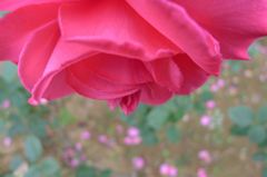 20111103 045_R