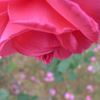 20111103 045_R