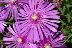 20110515 001_R