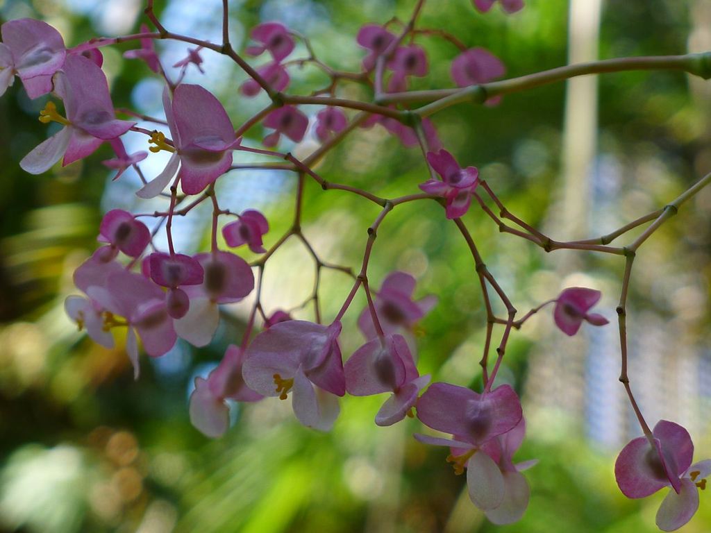 20110410 062_R