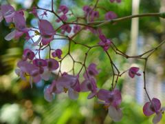 20110410 062_R