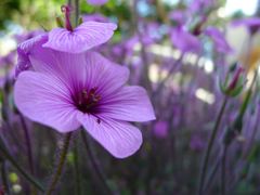 20110410 003_R