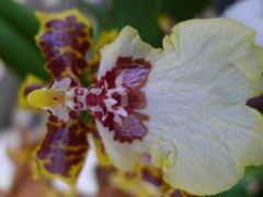 20110410 023_R