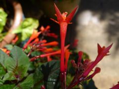 20110410 035_R