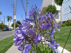 20110408 005_R
