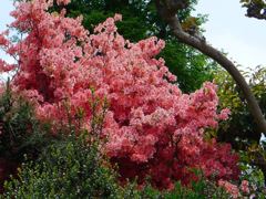 20110511 002_R