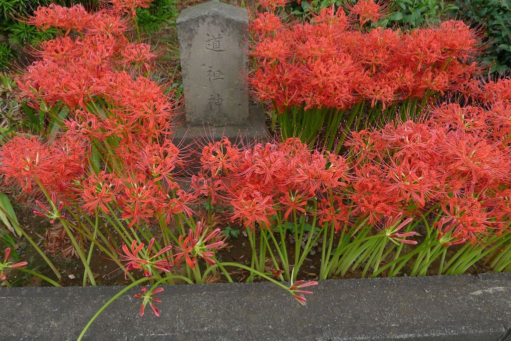 20110930 050_R