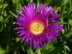 20110410 104_R