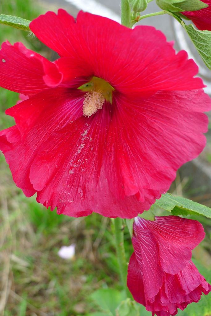 20110614 001_R
