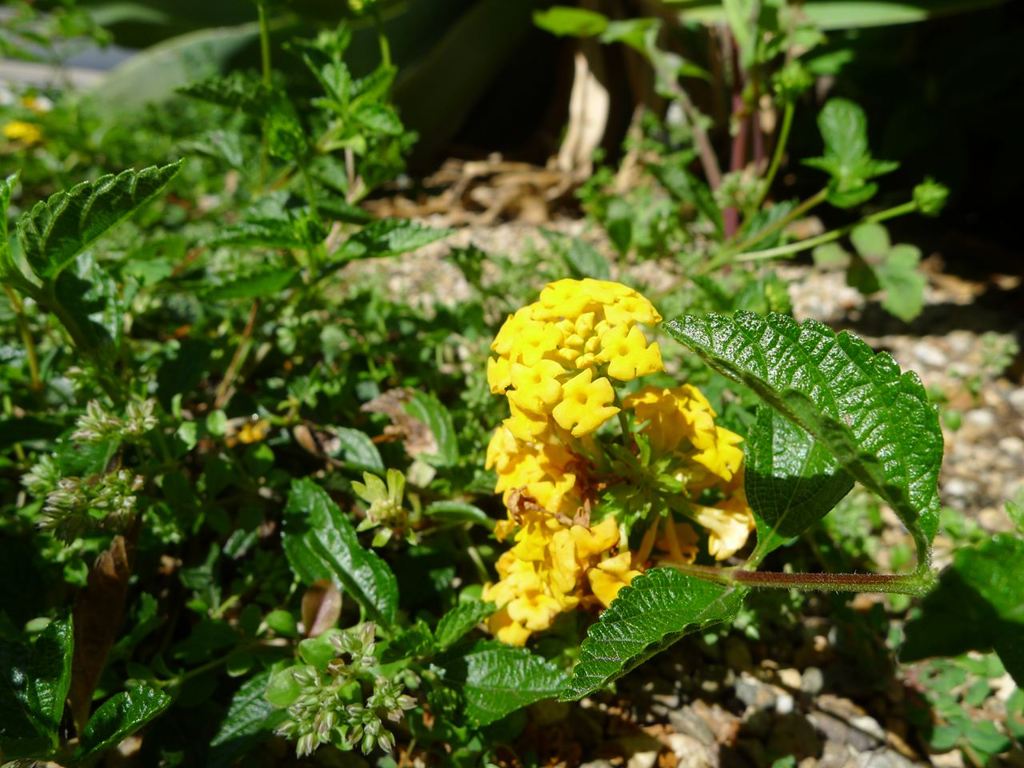 20110410 017_R