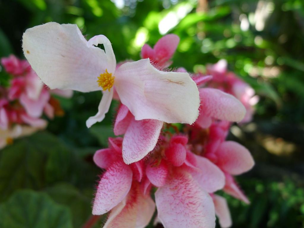 20110410 030_R