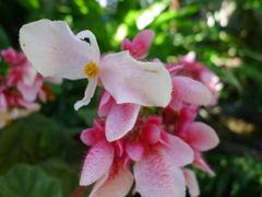 20110410 030_R