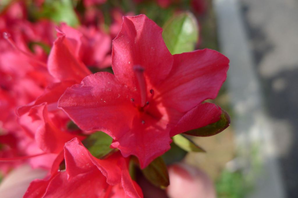 20110515 020_R