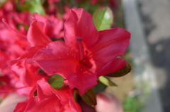 20110515 020_R