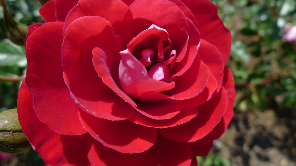 20110515 013_R