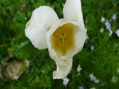 20110422 055_R