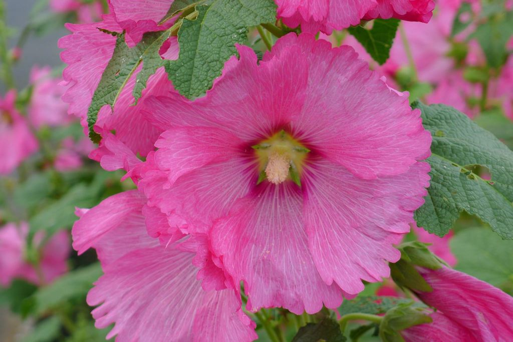 20110614 005_R