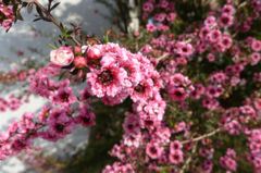 20110520 005_R