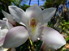 20110410 048_R