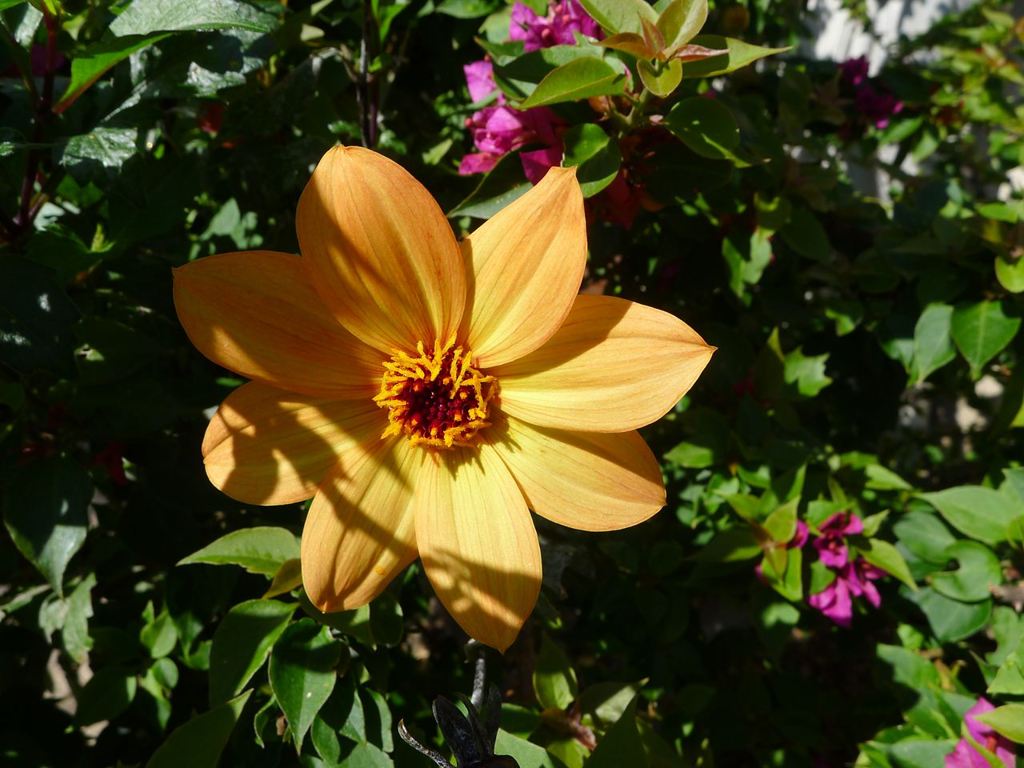 20110410 002_R