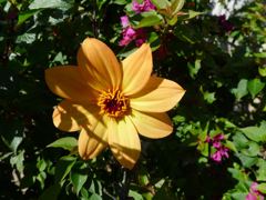 20110410 002_R