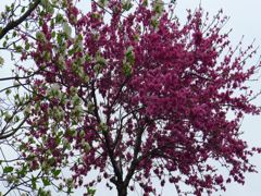20110422 059_R