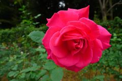 20111103 052_R