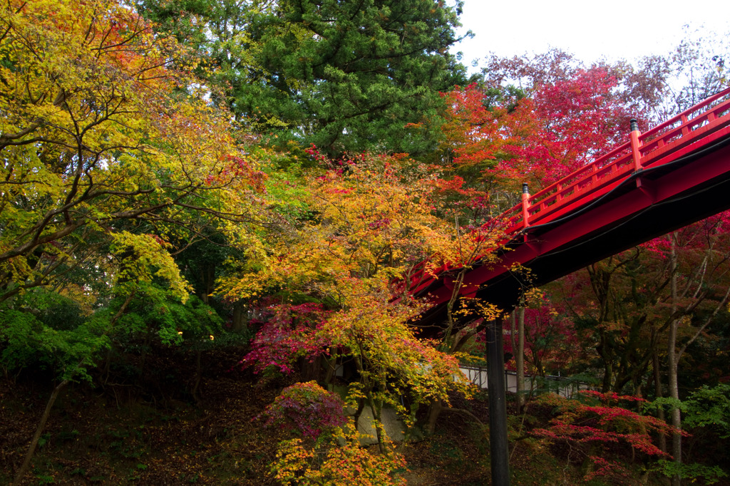 養父神社
