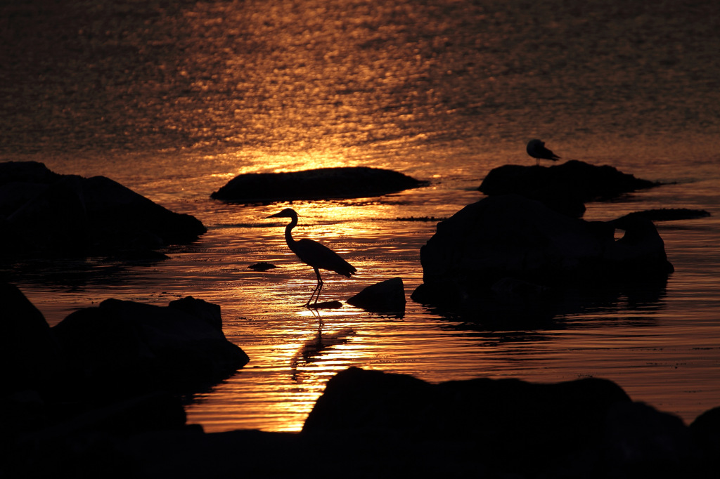 夕焼けの水辺