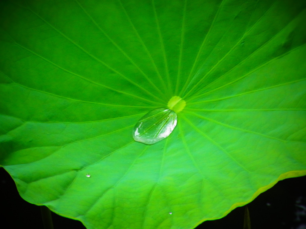 雨上がり