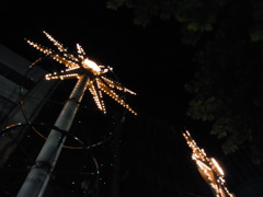 夜の原宿