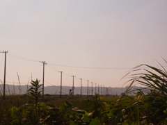 朝の田舎道
