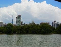 スカイツリーと積乱雲