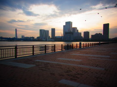 TokyoBay