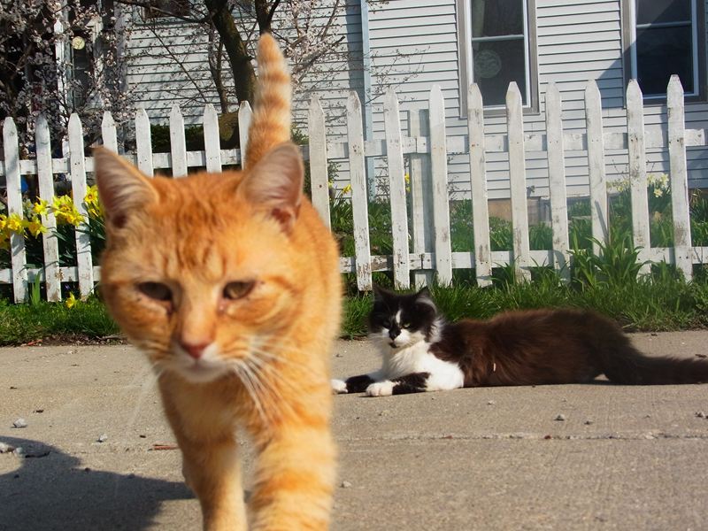ＵＳＡＣＡＴＳ