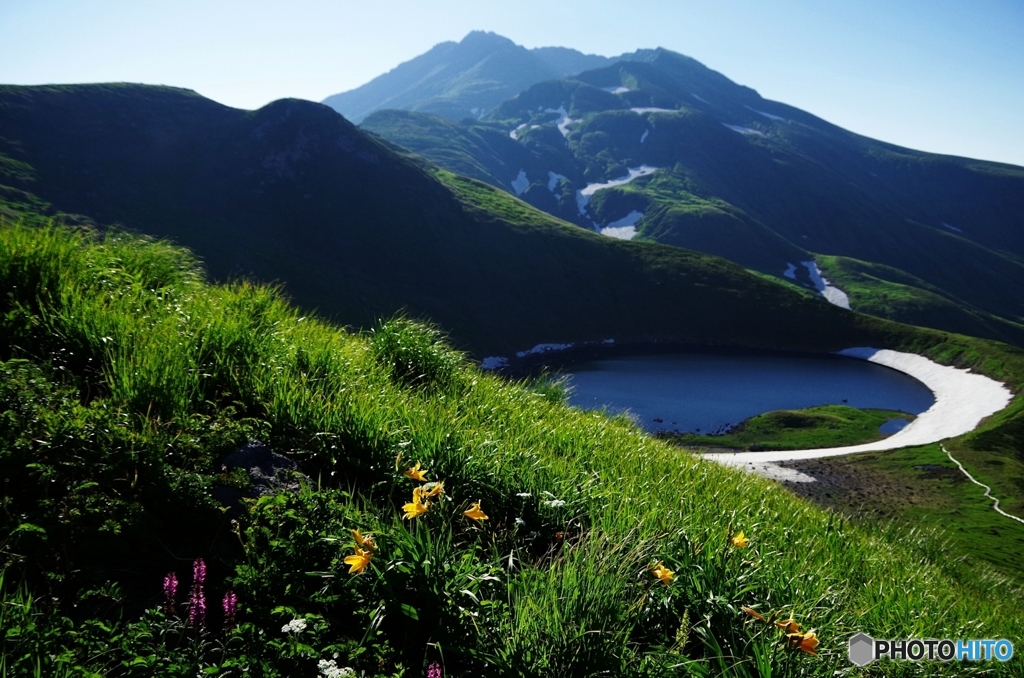夏山と花Ⅱ