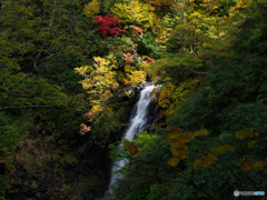 雲上の滝望遠