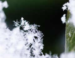 雪晶模様Ⅲ