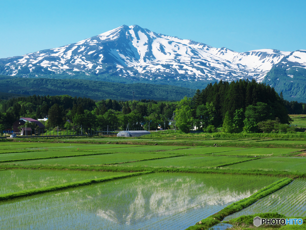 田映