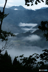霧の山里
